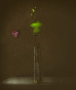 Tyst blomning och blad av Delphine Devos