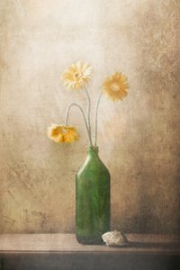Tysta gula blommor av Delphine Devos
