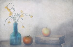 Lugna blommor Äpplen Böcker av Delphine Devos