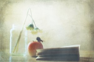 Snigel Äpple En stunds stillhet