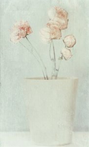 Mjuka, blekta blommor av Delphine Devos