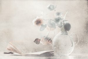 Mjuka rosor – Öppen bok av Delphine Devos