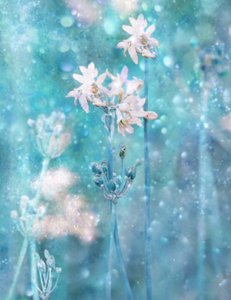 Glittrande blå blommor
