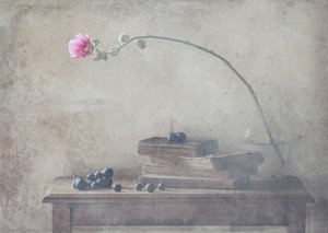 Vintage Books och Bloom av Delphine Devos