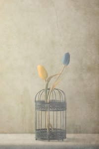  av Delphine Devos