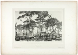 swedish av Denis Auguste Marie Raffet