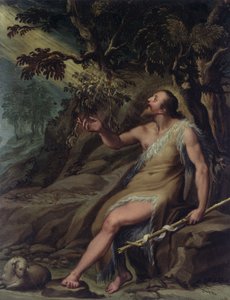 Johannes Döparen i vildmarken