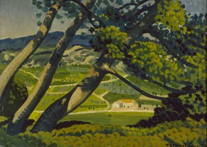 Träd, Provence, 1912
