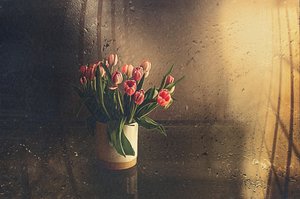  av Desislava Ignatova