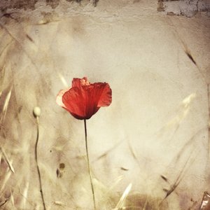  av Desislava Ignatova