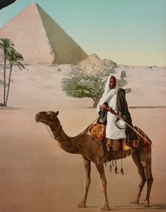 Beduin på en kamel och den stora pyramiden, Kairo, Egypten