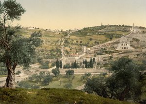 Oljeberget och Getsemane, allmän bild, Jerusalem, c.1890-c.1900 (fotokromtryck) av Detroit Photographic Co.