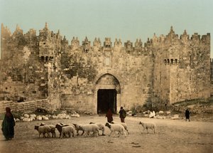 Damaskusporten, Jerusalem, Heliga landet, c.1890-c.1900 (fotokromtryck)
