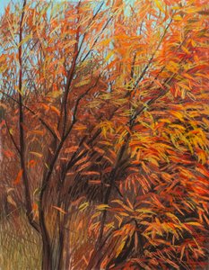 Red Willow 1a, 2021 (pastell på papper)