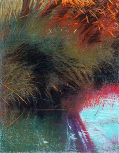 Red Willow 1b, 2021 (pastell på papper)