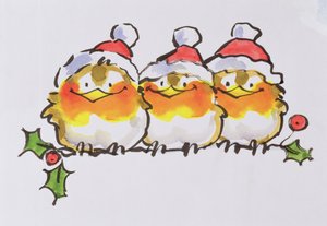 Christmas Robins (bläck och wc på papper) av Diane Matthes