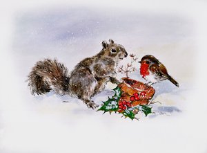 Ekorren och Robin
