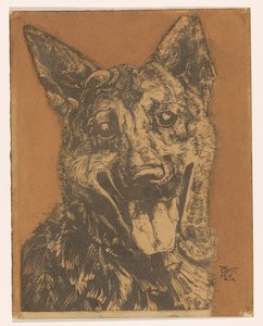 Hunden Cees