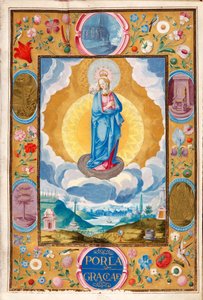 Immacule Conception in Enforceable Charter of riddership of Arias Pardo de Cela av Diego Gómez