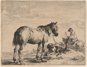 En häst bunden till en stolpe med en liggande hund