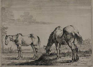 Grazing Horse, tallrik tre från Series of Horses