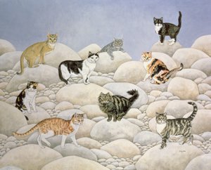 Lynn Valley Cats av Ditz