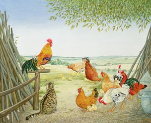 Fågeln och Pussycat av Ditz