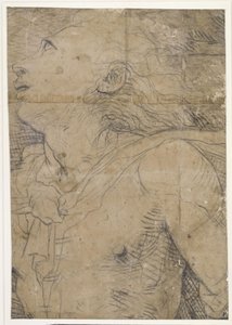 Uppblicande ung man (halvfigur), fragment av en kartong av Domenico Beccafumi