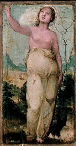 Kvinnlig figur. Målning av Domenico Beccafumi (1486-1551). Siena, konservatoriet av Domenico Beccafumi