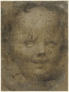 Barns huvud av Domenico Beccafumi