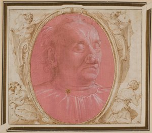Huvudet av en gammal man av Domenico Ghirlandaio