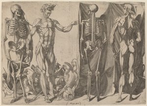 Skeletons and Flayed, ca. 1540-1545.