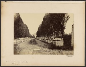 [Den antika kyrkogården i Arles, "Alyscamps"] av Dominique Roman