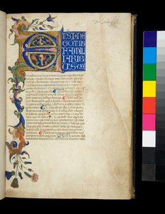 Ms 373. Pseudo-Cicero, Rhetorica ad Herennium och andra verk, f.1r. Upplyst initial [E] och partiell kant med akantusblad och blomdekor, första textraden med vita versaler på blå botten, ca 1337 (pergament)