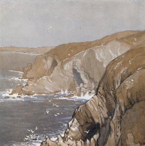 Cornish Coast (färg litho) av Donald (after) Maxwell