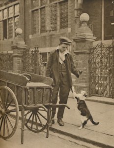 En av de bäst etablerade affärerna: A Customer and the Cats-Meat Man, c1935. av Donald McLeish