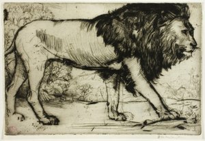 Ett lejon av Donald Shaw MacLaughlan