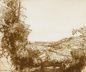 Olivlundar av Donald Shaw MacLaughlan
