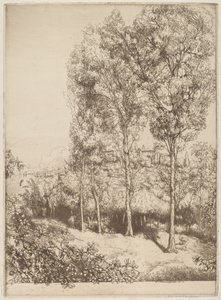 Solljus och skuggor, nr 3 av Donald Shaw MacLaughlan