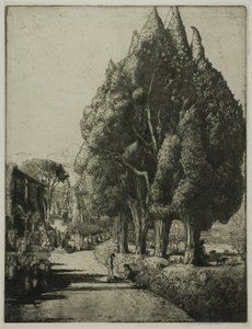 Cypress Grove av Donald Shaw MacLaughlan