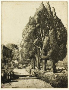 Cypress Grove av Donald Shaw MacLaughlan