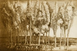 Vårens dans av Donald Shaw MacLaughlan