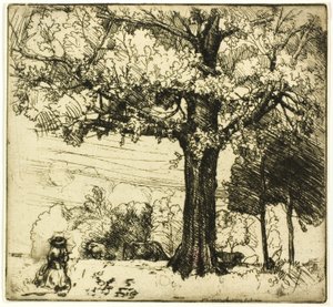 Den stora eken av Donald Shaw MacLaughlan