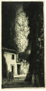 Det hemsökta huset av Donald Shaw MacLaughlan