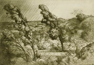 Stormen av Donald Shaw MacLaughlan