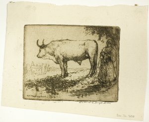 Den vita oxen av Donald Shaw MacLaughlan