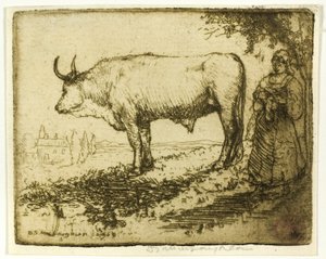 Den vita oxen av Donald Shaw MacLaughlan