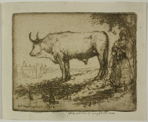 Den vita oxen av Donald Shaw MacLaughlan