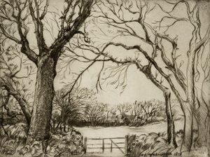 Tragenna Wood av Donald Shaw MacLaughlan