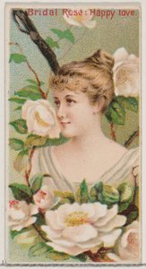 Bridal Rose: Happy Love, från serien Floral Beauties and Language of Flowers N75 för..., 1892.